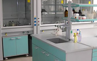 Laboratory furniture and fume cupboard